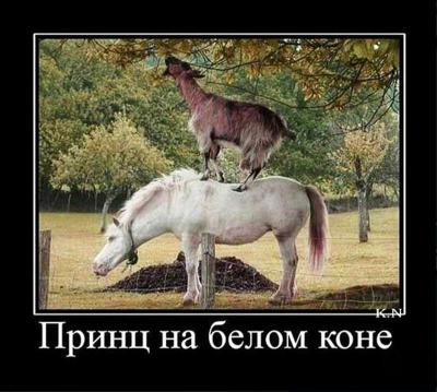 Прикрепленное изображение: 43399720_b3bb6b5e3c1935fb23d00207d3d4cadc_800.jpg